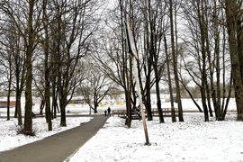Евродвушка 55,5 м², Истра