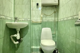 Евродвушка 55,5 м², Истра
