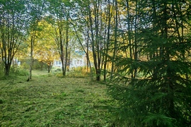 деревня Бужарово, Придорожная, 51