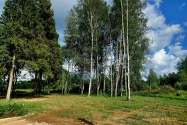 КП Лесницыно, улица Лунная, 45