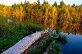 Продаем земельный участок Холмы