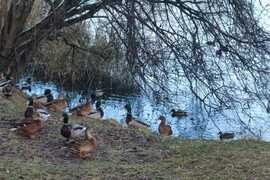 2кв п. Нахабино, ул. Парковая, 13