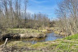 Участок 8,4сот.  Истра, д.Кашино