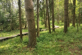 Участок 15 соток у Большой воды