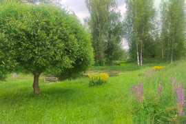 ПРОДАЕТСЯ  УЧАСТОК 25 СОТОК