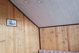 деревня Нижневасильевское, 