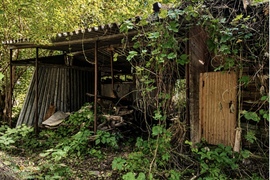 поселок Октябрьский, 