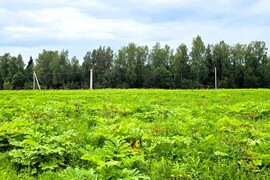 д. Ермолино - 10,74 соток