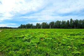 д. Ермолино - 10,74 соток