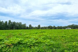 д. Ермолино - 10,74 соток