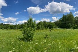 Земля — источник новых идей и великол...