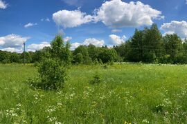 Земля — источник новых идей.