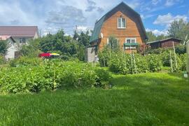 Летняя дача с ухоженным огородом