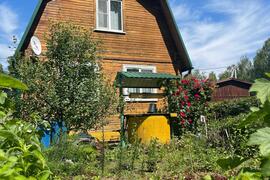 Летняя дача с ухоженным огородом