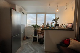 3кв Новые снегири 93м2