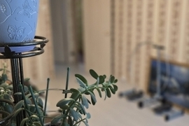 Красногорск, Вокзальная Улица, 15