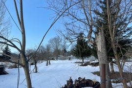 Уч.12 сот. д.Алехново/Водохранилище 