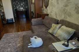 Ясенево, Карамзина, проезд, 5