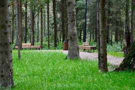 Истра, Рабочая улица, 1а